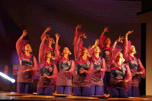 草根藝術團綻芳華 順德社區巡演三載情，央視舞臺展風采